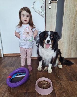 7 let už je tu Keisynka s námi 🐶🤍🖤 A doufáme, že ještě několik dalších let tu s námi budeš. Máme tě moc rádi a přejeme ti...